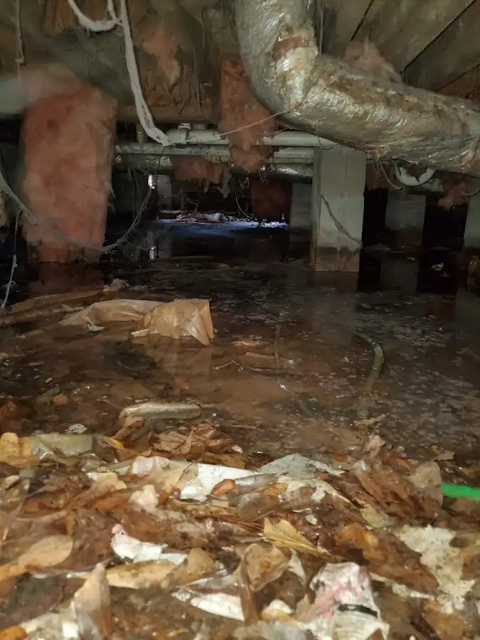 Crawl space flood assessment for Leak Detection & Repair in Norfolk