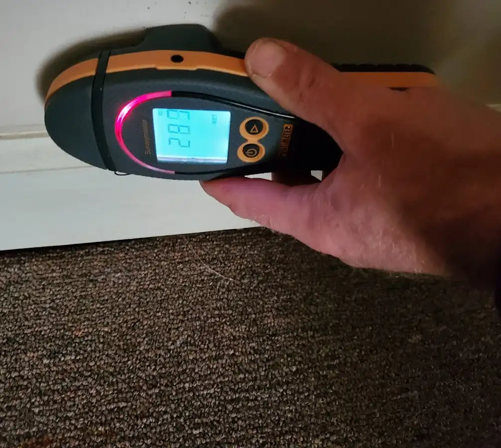 Moisture detection at baseboard during Sewage Cleanup & Sanitation in Norfolk